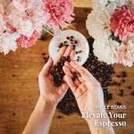 Caffe Vergnano Espresso Coffee Beans Whole, 1.1lb bag - Medium Roast Arabica Robusta Coffee Beans, Chocolate & Caramel Notes - Perfect for Espresso Machine, Moka Pot, French Press, Drip Coffee Maker