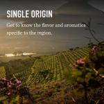 Peet's Medium Roast Brazil K-Cup Pods - 32 Count