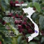 Every Half Coffee Roasters - 100% Fine Robusta Vietnam - Whole Bean Coffee Dark Roast - Low Acid, Fresh Roasted, Single Origin 12 Oz