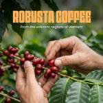 Blu Ore Black Obsidian Robusta Coffee Beans – Single Origin Vietnamese Whole Bean Coffee, Bold Strong Espresso Beans with Chocolate & Cacao Notes, High Caffeine, Medium Dark Roast