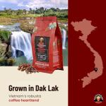Vietnamese Whole Bean Coffee - Saigondan Passion 100% Robusta French Roast - Premium Single Origin, Direct Trade Vietnamese Coffee - 12 oz