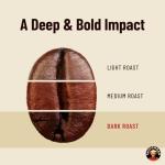 Vietnamese Whole Bean Coffee - Saigondan Passion 100% Robusta French Roast - Premium Single Origin, Direct Trade Vietnamese Coffee - 12 oz