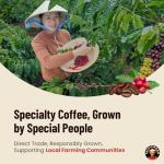 Vietnamese Whole Bean Coffee - Saigondan Passion 100% Robusta French Roast - Premium Single Origin, Direct Trade Vietnamese Coffee - 12 oz