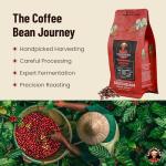 Vietnamese Whole Bean Coffee - Saigondan Passion 100% Robusta French Roast - Premium Single Origin, Direct Trade Vietnamese Coffee - 12 oz