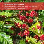 MissTrang Coffee - Vietnam Robusta Signature, Whole Bean Coffee, Medium Roast, High Caffeine, Low Acidity, Rich Velvety Crema, Bold Espresso & Cold Brew Flavor (8.8oz Bag)