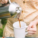 Frieling Double-Walled Stainless Steel French Press 17oz