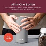 MuellerLiving Electric Coffee and Spice Grinder - Gray