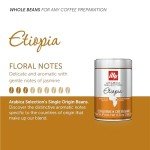 Ethiopia Whole Bean Coffee - Light Roast 8.8oz