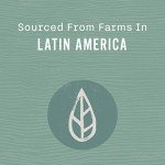 Allegro Rainforest Blend Whole Bean Coffee 12 oz