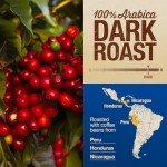 Mayorga Winter Blend Dark Roast Coffee, 2 lb