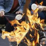 Duraflame Indoor/Outdoor Firelog 12-Pack Bundle