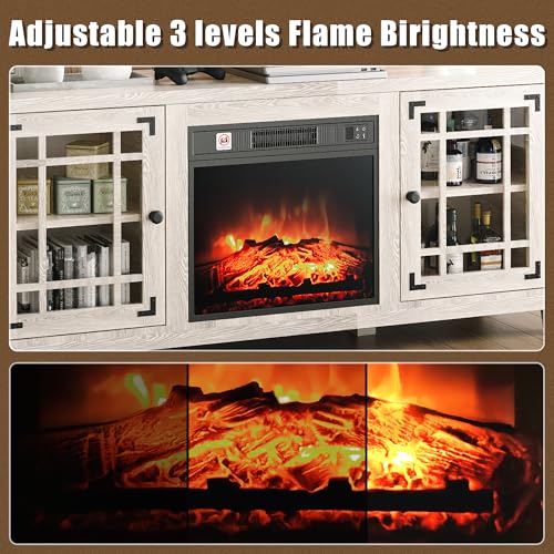 TRONLEE 18" Electric Fireplace Insert with Remote