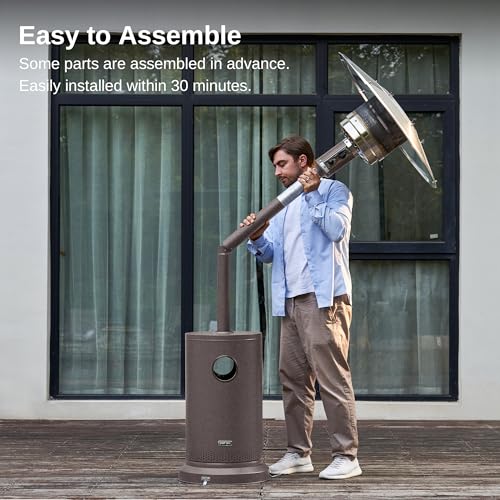 East Oak 48,000 BTU Bronze Patio Heater