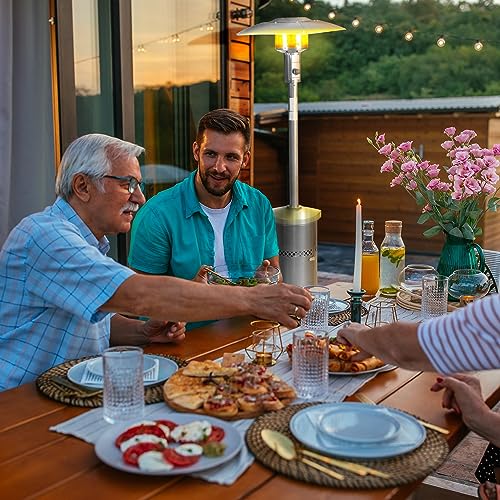 Four Seasons Stainless Steel Outdoor Patio Heater