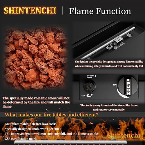Shintenchi 43" Outdoor Propane Fire Pit Table