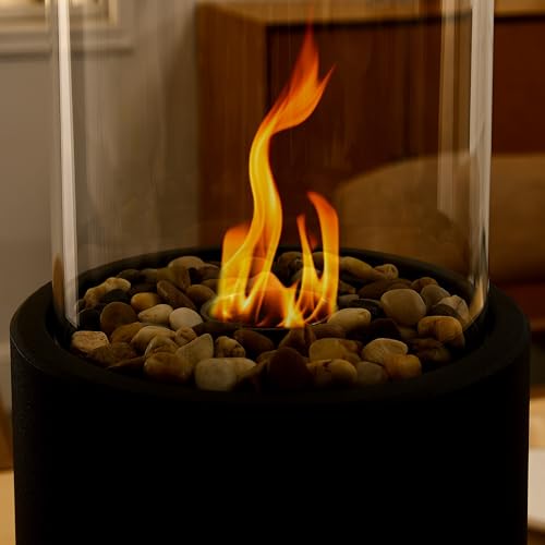 Danya B. Portable Bio Ethanol Tabletop Fire Pit