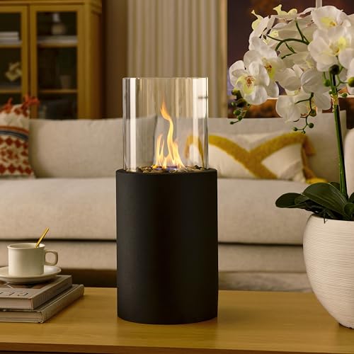 Danya B. Portable Bio Ethanol Tabletop Fire Pit