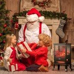 TURBRO TS17Q Infrared Electric Fireplace Stove