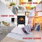 20" Electric Fireplace Stove with Thermostat, Black