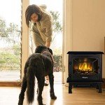 TURBRO TS20 Electric Fireplace with Realistic Flames