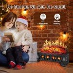 Electric Fireplace Insert with Remote Control - 21 Inch