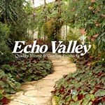 EchoFlame Gel Fuel for Outdoor Fireplaces