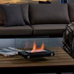 Danya B. Portable Ethanol Fire Pit Table