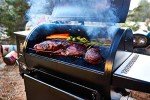 Pit Boss Pecan Blend Hardwood BBQ Pellets