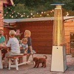 LAUSAINT HOME 48,000 BTU Outdoor Patio Heater