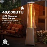 LAUSAINT HOME 48,000 BTU Outdoor Patio Heater