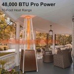 Hykolity 48,000 BTU Pyramid Patio Heater - Bronze