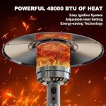 Patio Heater 48000 BTU With Wheels & Design