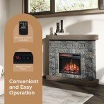 40" Raeford Electric Fireplace with Stone Mantel