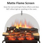 LegendFlame 23" Electric Fireplace Log Set with Remote