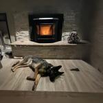 Comfortbilt HP22i Pellet Stove Fireplace Insert