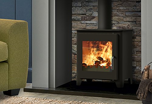 Saltfire ST1 VISION Eco-Friendly Woodburning Stove