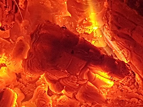 Kiln-Dried Hardwood Logs for Fireplaces and Stoves