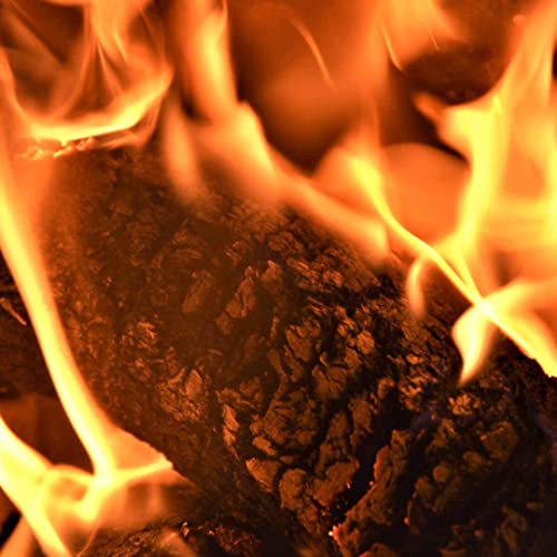 Ecoblaze Nestro Firewood Bricks | 6 kg