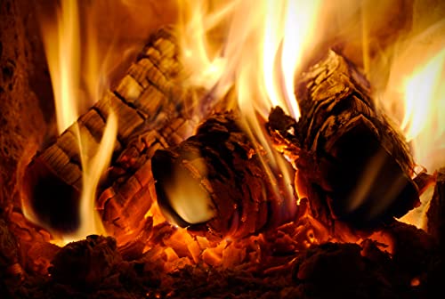 Jumbo Kiln Dried Hardwood Logs for Heating
