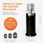 Realglow 13KW Black Gas Patio Heater