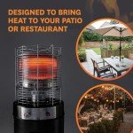 Realglow 13KW Black Gas Patio Heater