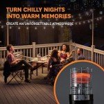 Realglow 13KW Black Gas Patio Heater