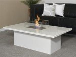Large Stainless Steel Bio Ethanol Burner, 3 Liters
