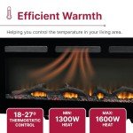 Dimplex Sierra Optiflame Wall Mount Electric Fireplace