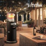 BIGHORN 6KW Portable Gas Patio Heater