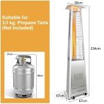 COSTWAY Outdoor Gas Patio Heater with Wheels