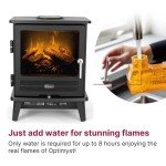 Dimplex Willowbrook Optimyst Electric Fireplace Heater