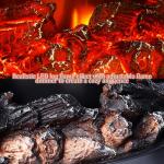 INMOZATA Electric Fire Stove Heater with LED Flames
