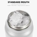 Fanhaw 20 Oz Stainless Steel Insulated Sports Water Bottles with Straw for Kids, Men and Women (Black)