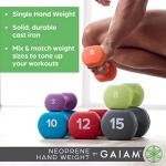 Gaiam Dumbbell Hand Weight (Sold in Singles) - Neoprene Coated Exercise & Fitness Dumbbell for Home Gym Workouts and Strength Training - Free Weights for Women and Men (15lb, Grey)